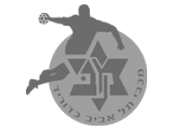 מכבי-כדור-יד